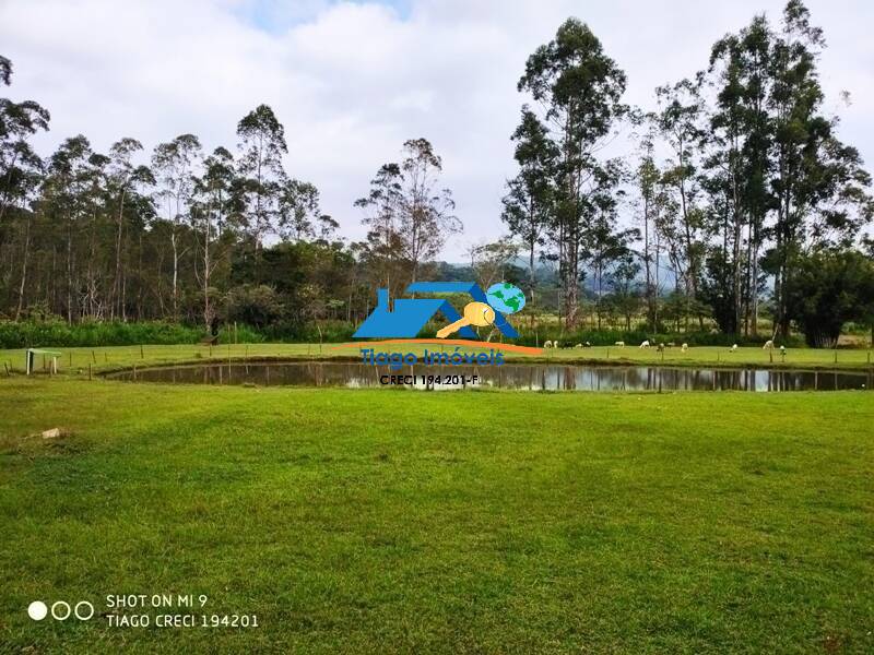 Fazenda à venda com 4 quartos, 17000m² - Foto 18