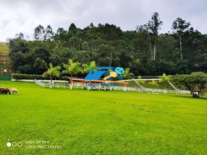 Fazenda à venda com 4 quartos, 17000m² - Foto 28