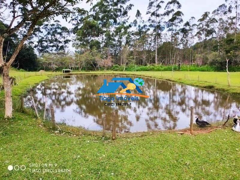 Fazenda à venda com 4 quartos, 17000m² - Foto 3