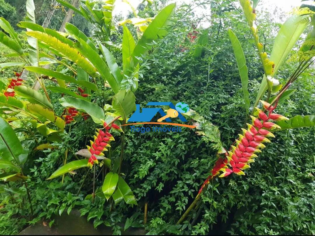 Fazenda à venda com 2 quartos, 120m² - Foto 7