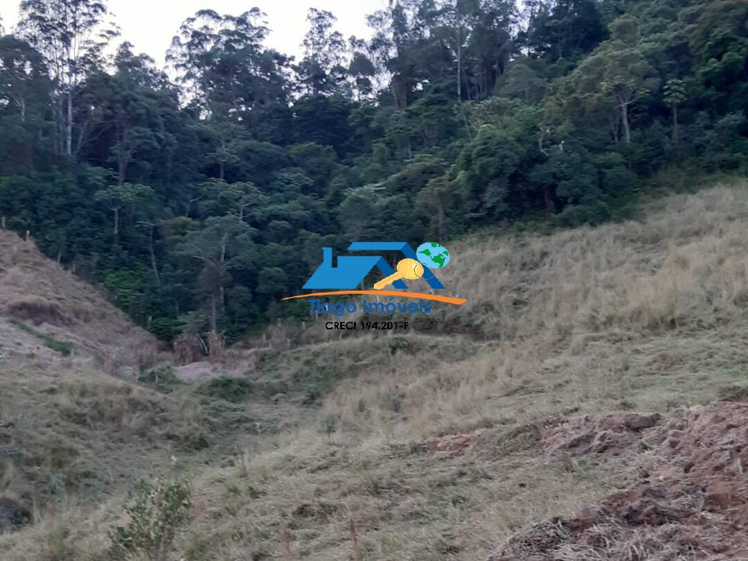 Fazenda à venda com 3 quartos, 41000m² - Foto 16