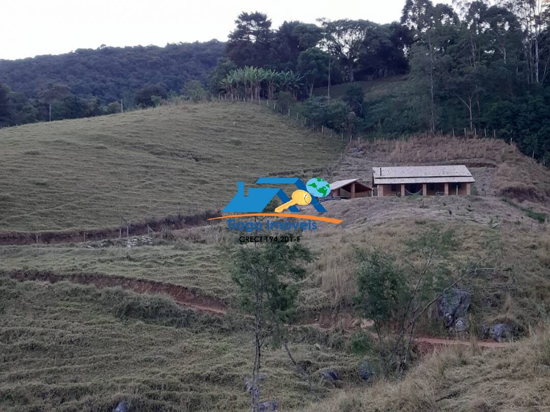 Fazenda à venda com 3 quartos, 41000m² - Foto 8