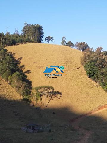 Fazenda à venda com 3 quartos, 41000m² - Foto 6