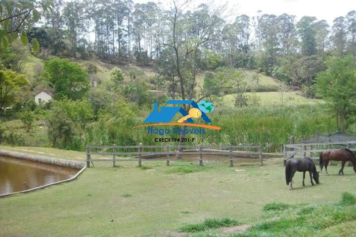 Fazenda à venda com 4 quartos, 10000m² - Foto 16