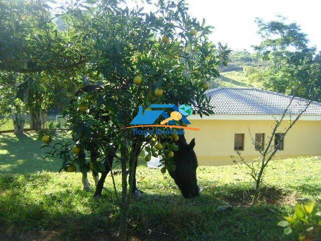 Fazenda à venda com 4 quartos, 10000m² - Foto 25