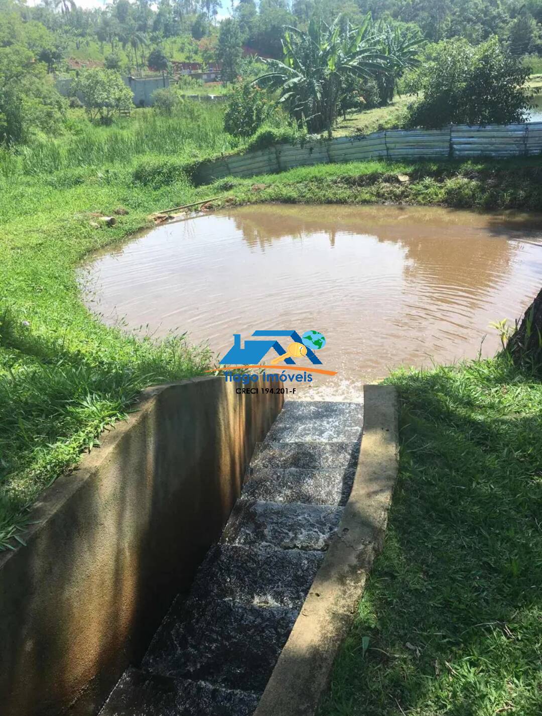 Fazenda à venda com 4 quartos, 10000m² - Foto 34