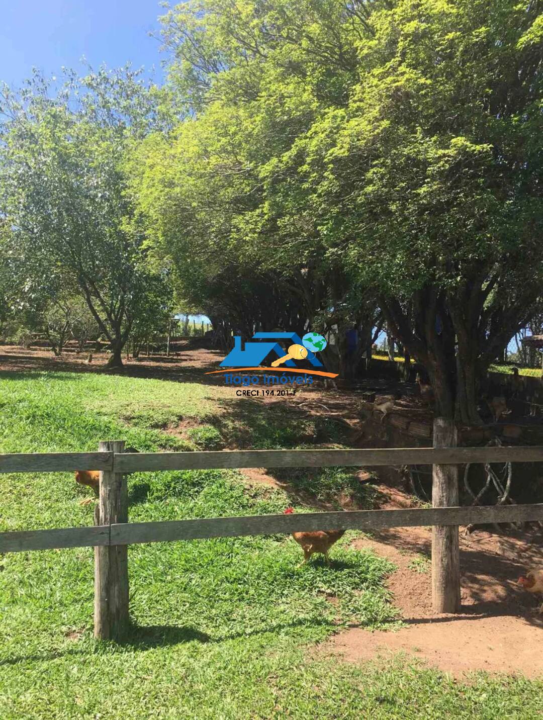 Fazenda à venda com 4 quartos, 10000m² - Foto 39