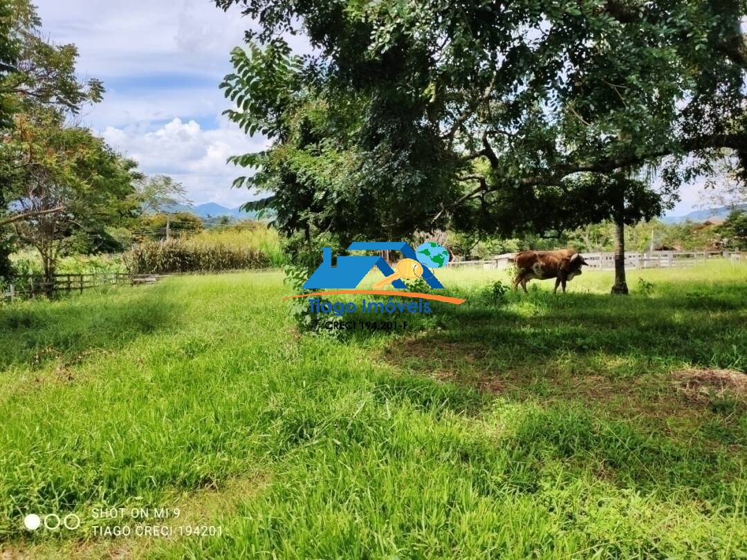 Fazenda à venda com 4 quartos, 22000m² - Foto 22