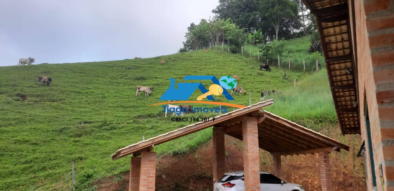 Fazenda à venda com 3 quartos, 41000m² - Foto 23