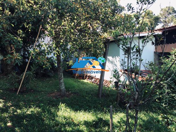 Fazenda à venda com 2 quartos, 2500m² - Foto 40