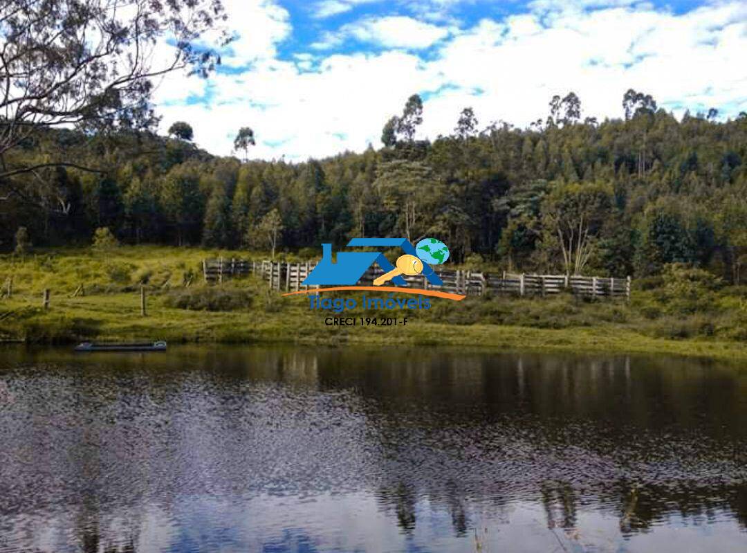 Fazenda à venda com 4 quartos, 30m² - Foto 14