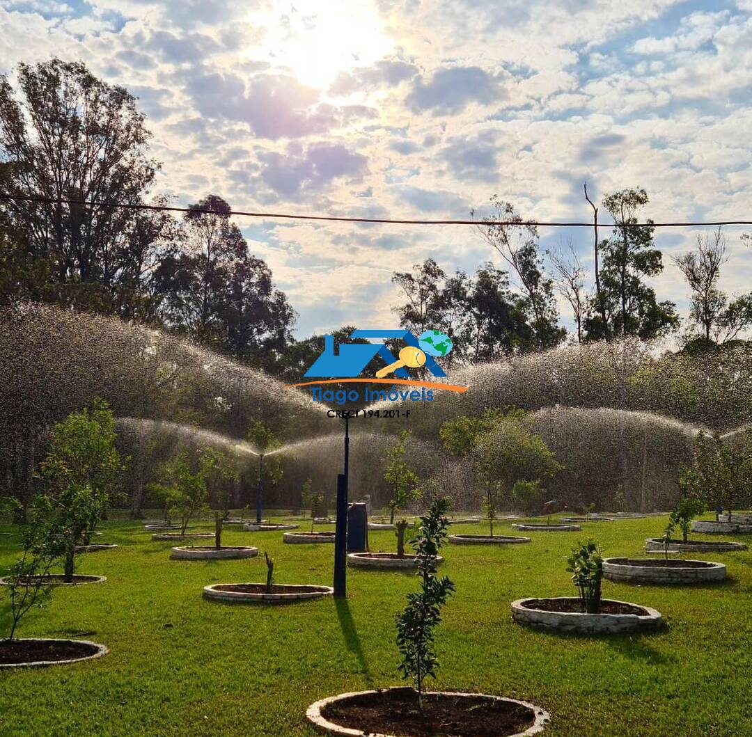 Fazenda à venda com 4 quartos, 3000m² - Foto 50