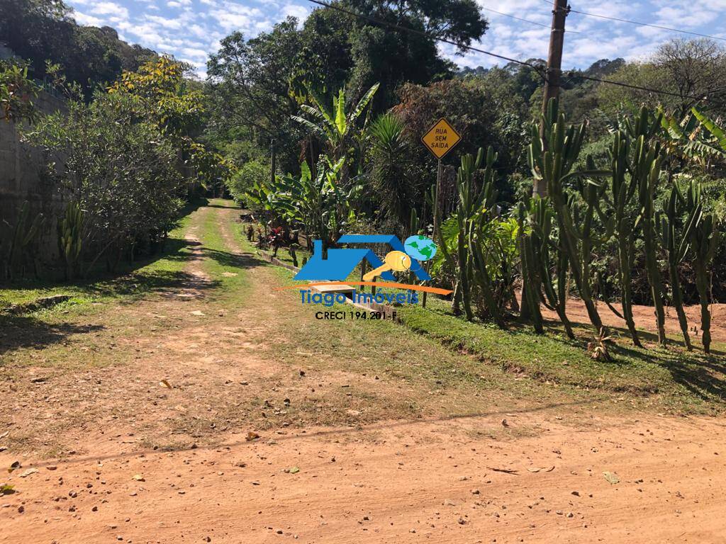 Fazenda à venda com 3 quartos, 2900m² - Foto 10