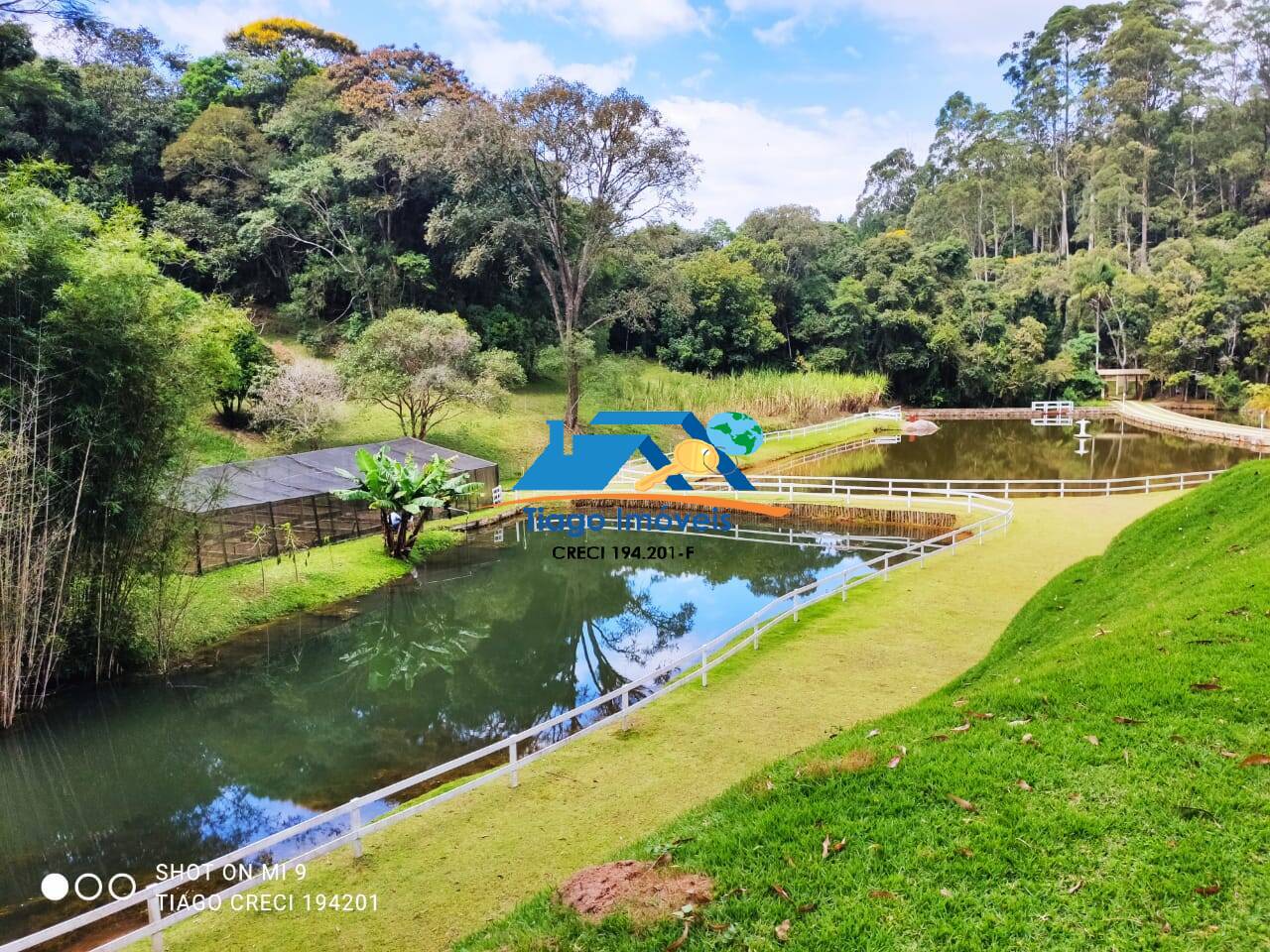 Fazenda à venda com 6 quartos, 190000m² - Foto 11