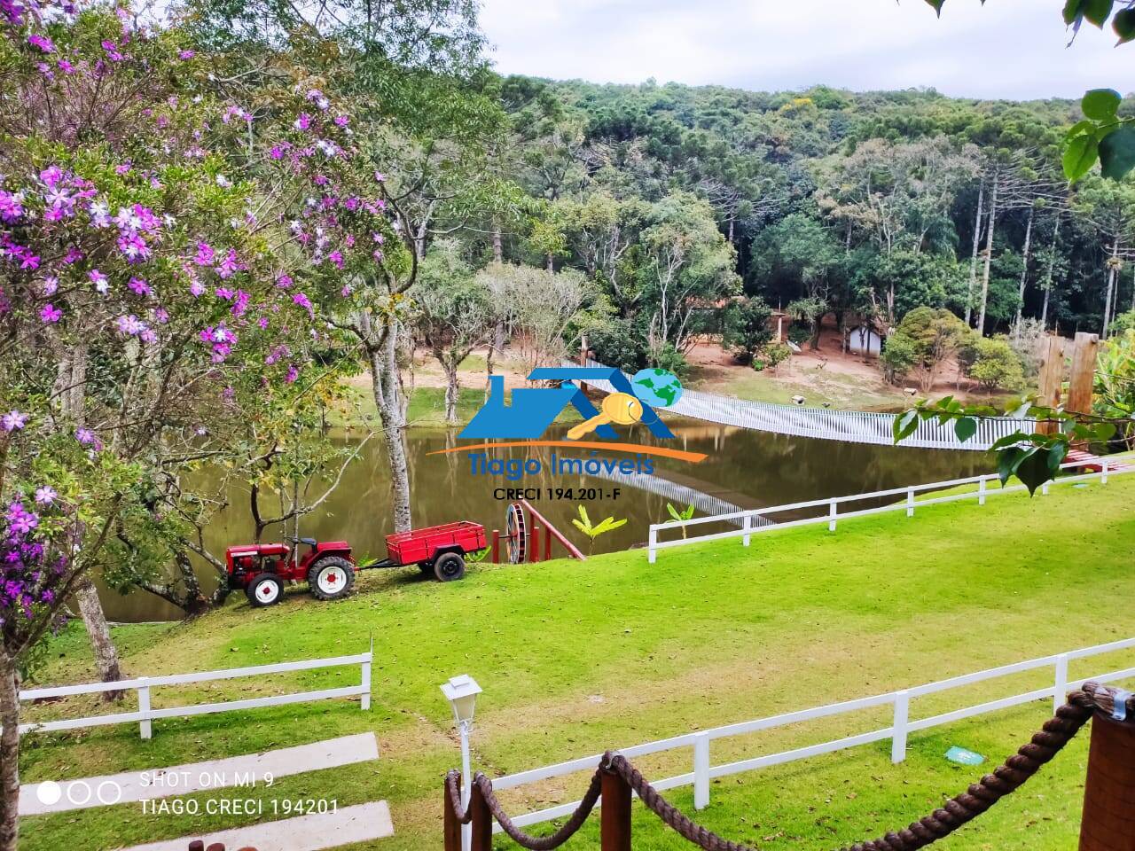 Fazenda à venda com 6 quartos, 190000m² - Foto 24