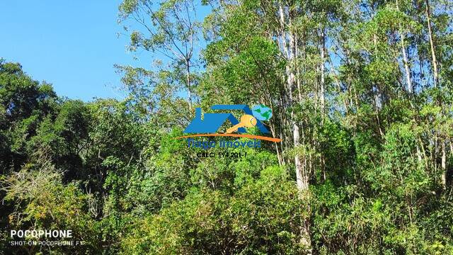 Fazenda à venda com 4 quartos, 44000m² - Foto 6