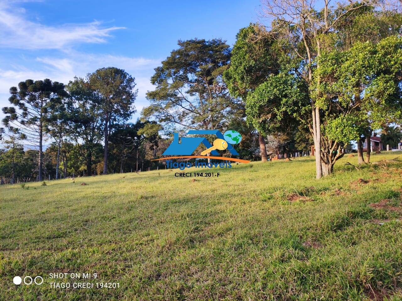 Fazenda à venda com 3 quartos, 500m² - Foto 11