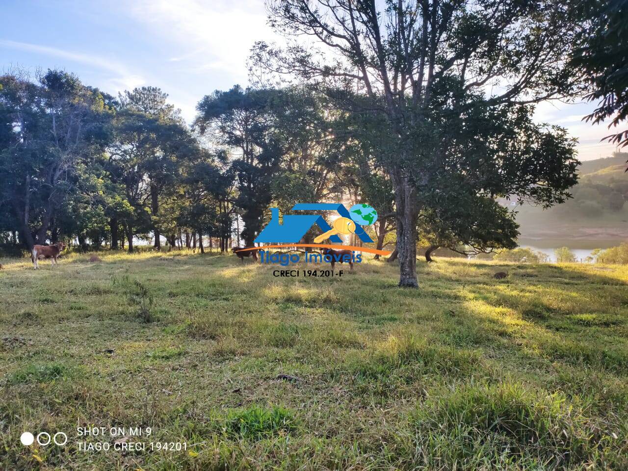 Fazenda à venda com 8 quartos, 400m² - Foto 3