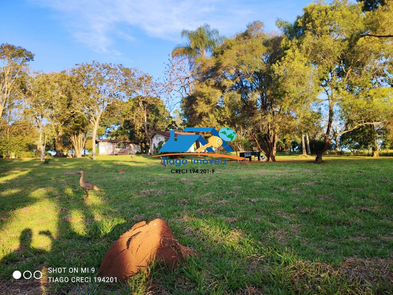 Fazenda à venda com 8 quartos, 400m² - Foto 9