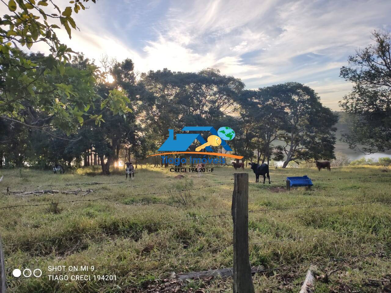 Fazenda à venda com 8 quartos, 400m² - Foto 15