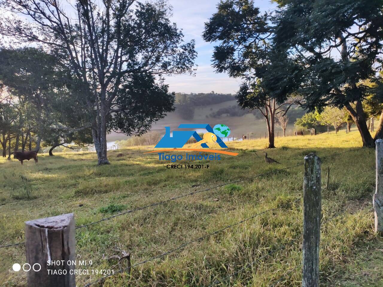 Fazenda à venda com 8 quartos, 400m² - Foto 14