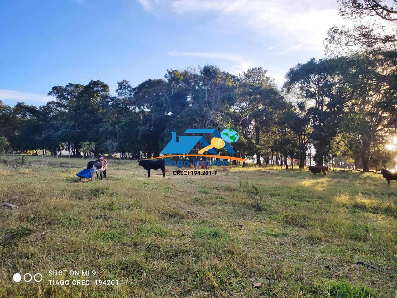 Fazenda à venda com 8 quartos, 400m² - Foto 27