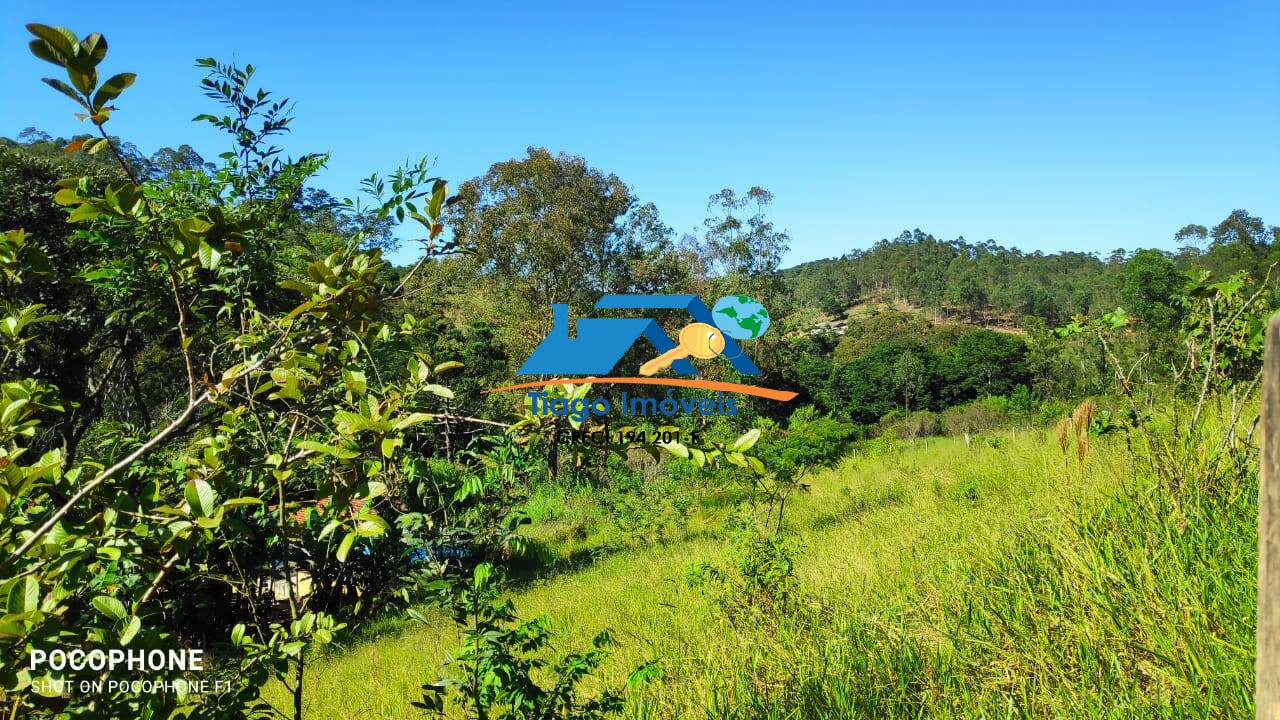 Fazenda à venda com 2 quartos, 580m² - Foto 18