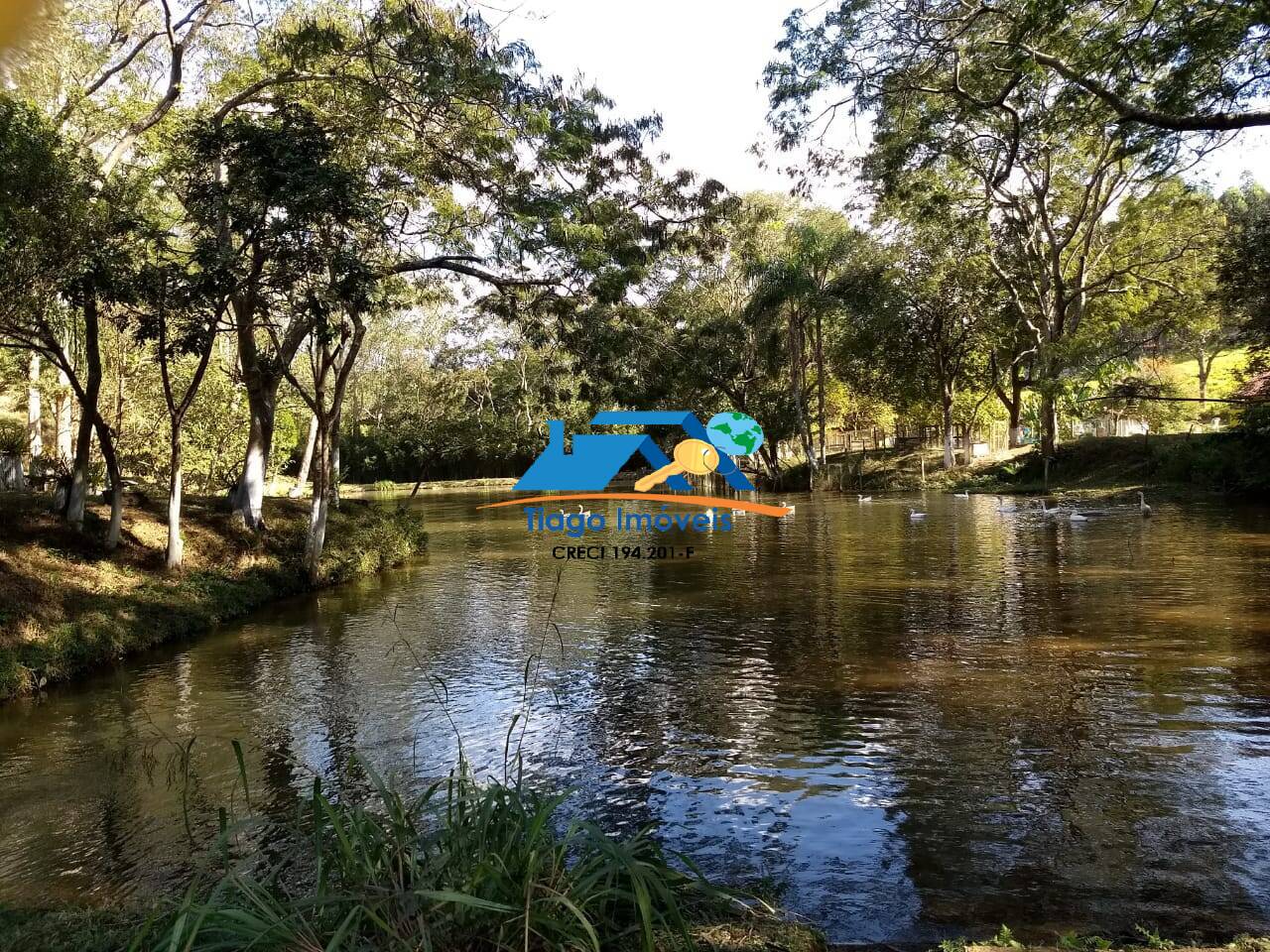 Fazenda à venda com 4 quartos, 44000m² - Foto 32