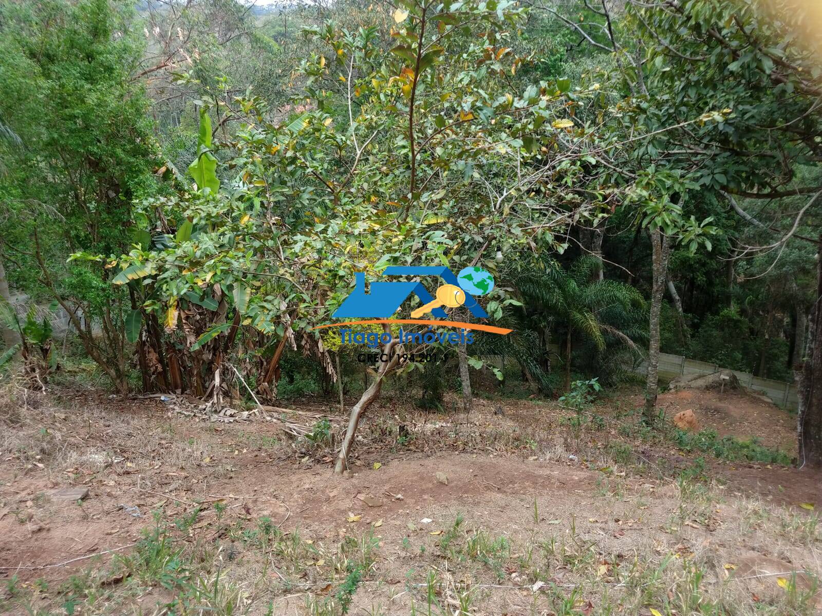 Fazenda à venda com 2 quartos, 2100m² - Foto 20