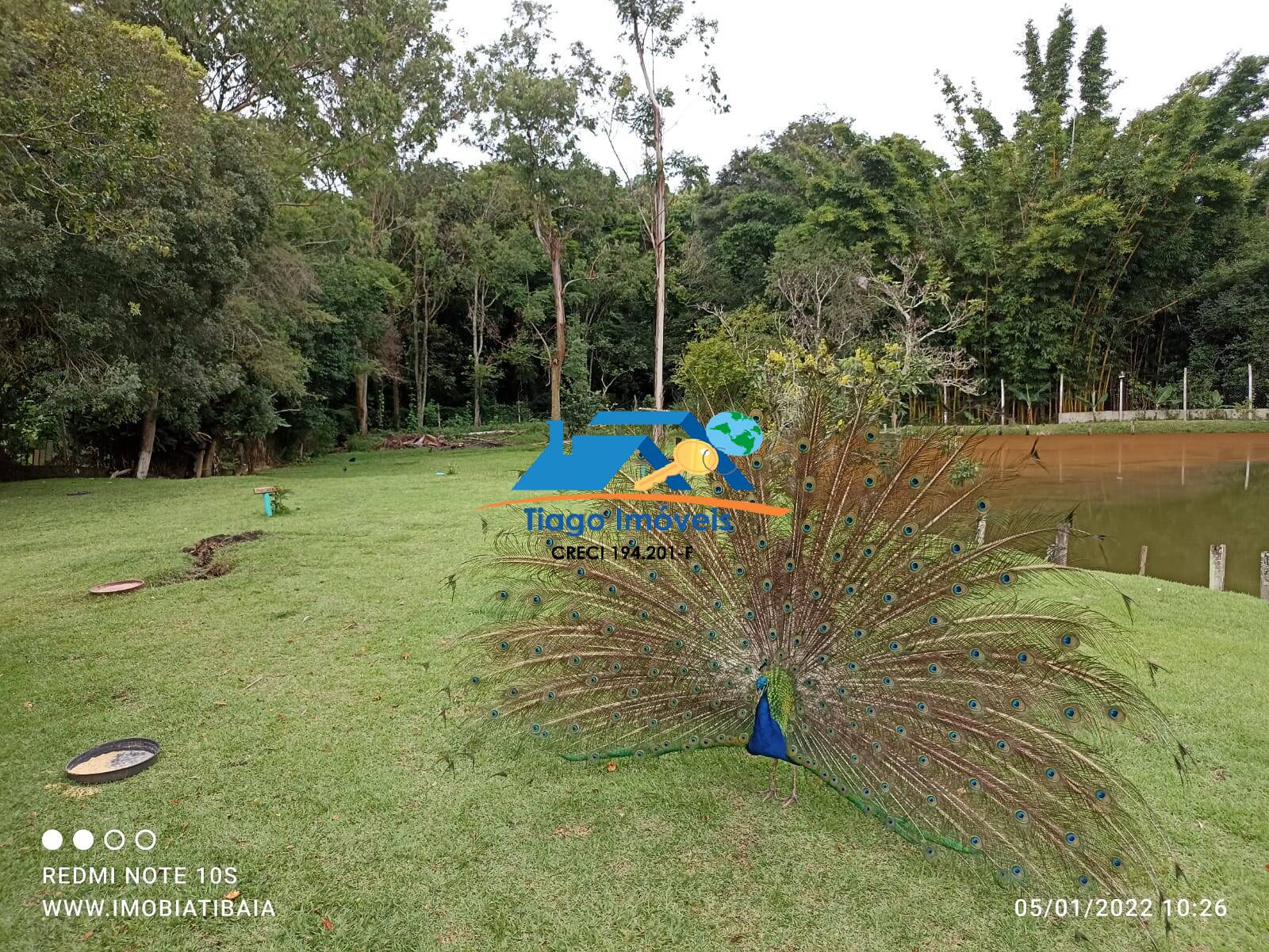 Fazenda à venda com 9 quartos, 9466m² - Foto 30