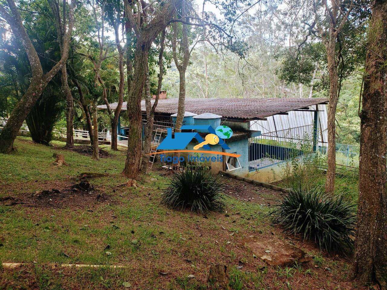 Fazenda à venda com 5 quartos, 6000m² - Foto 8