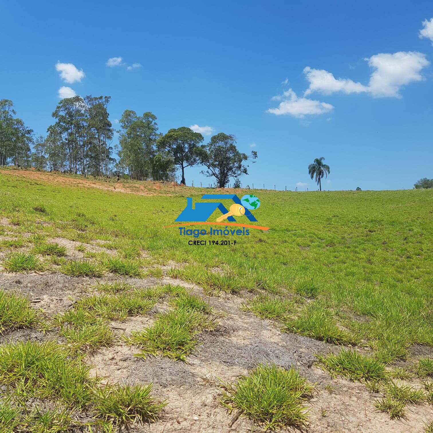 Fazenda à venda com 5 quartos, 76000m² - Foto 5