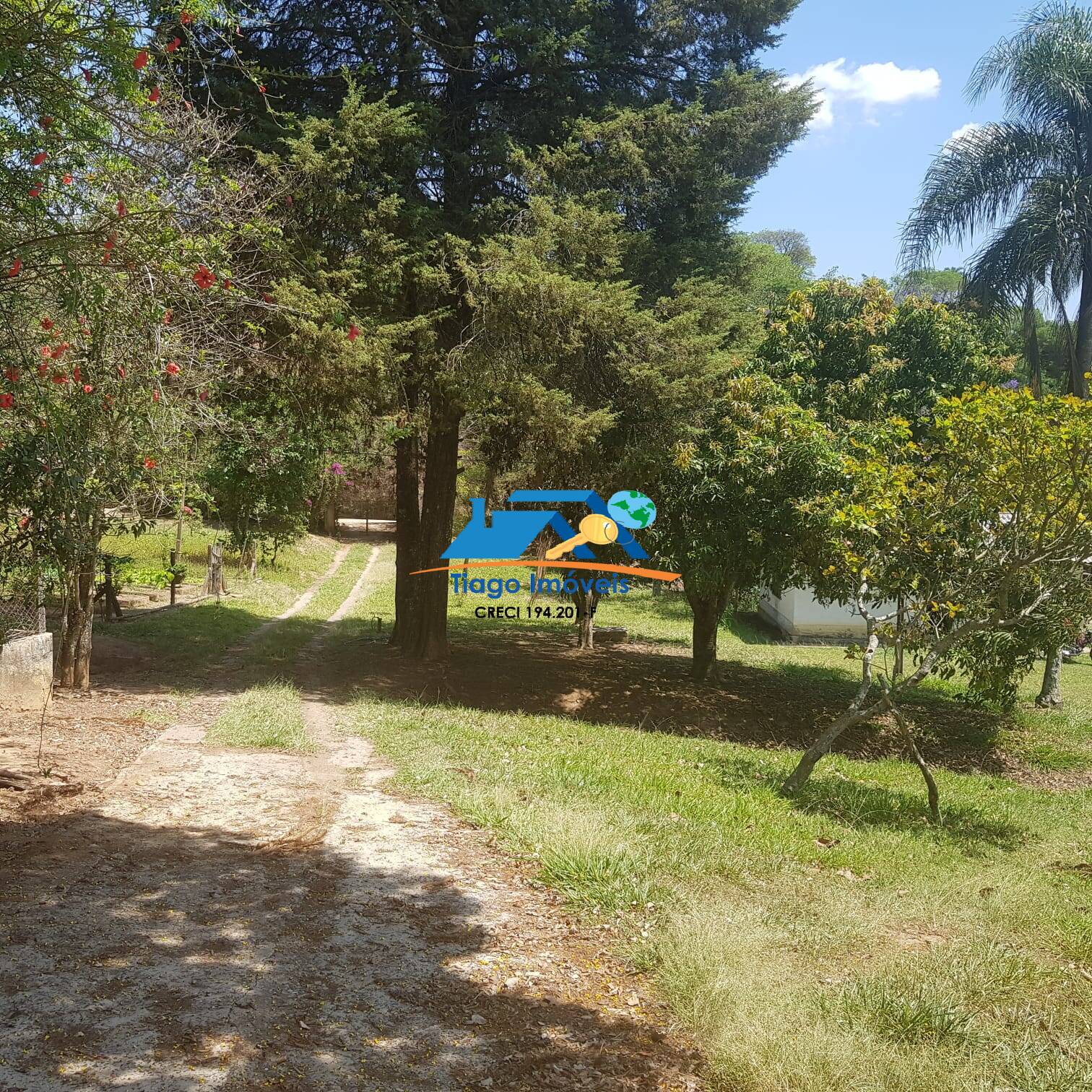 Fazenda à venda com 5 quartos, 76000m² - Foto 6