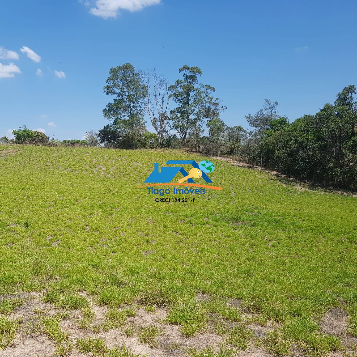 Fazenda à venda com 5 quartos, 76000m² - Foto 8