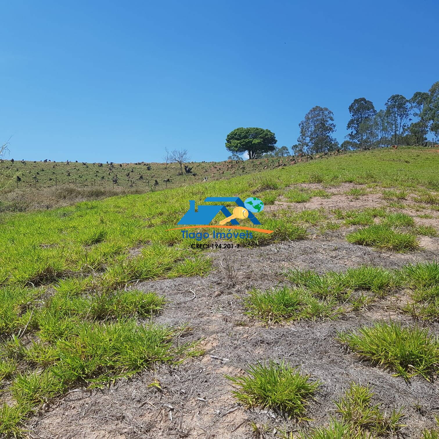 Fazenda à venda com 5 quartos, 76000m² - Foto 10