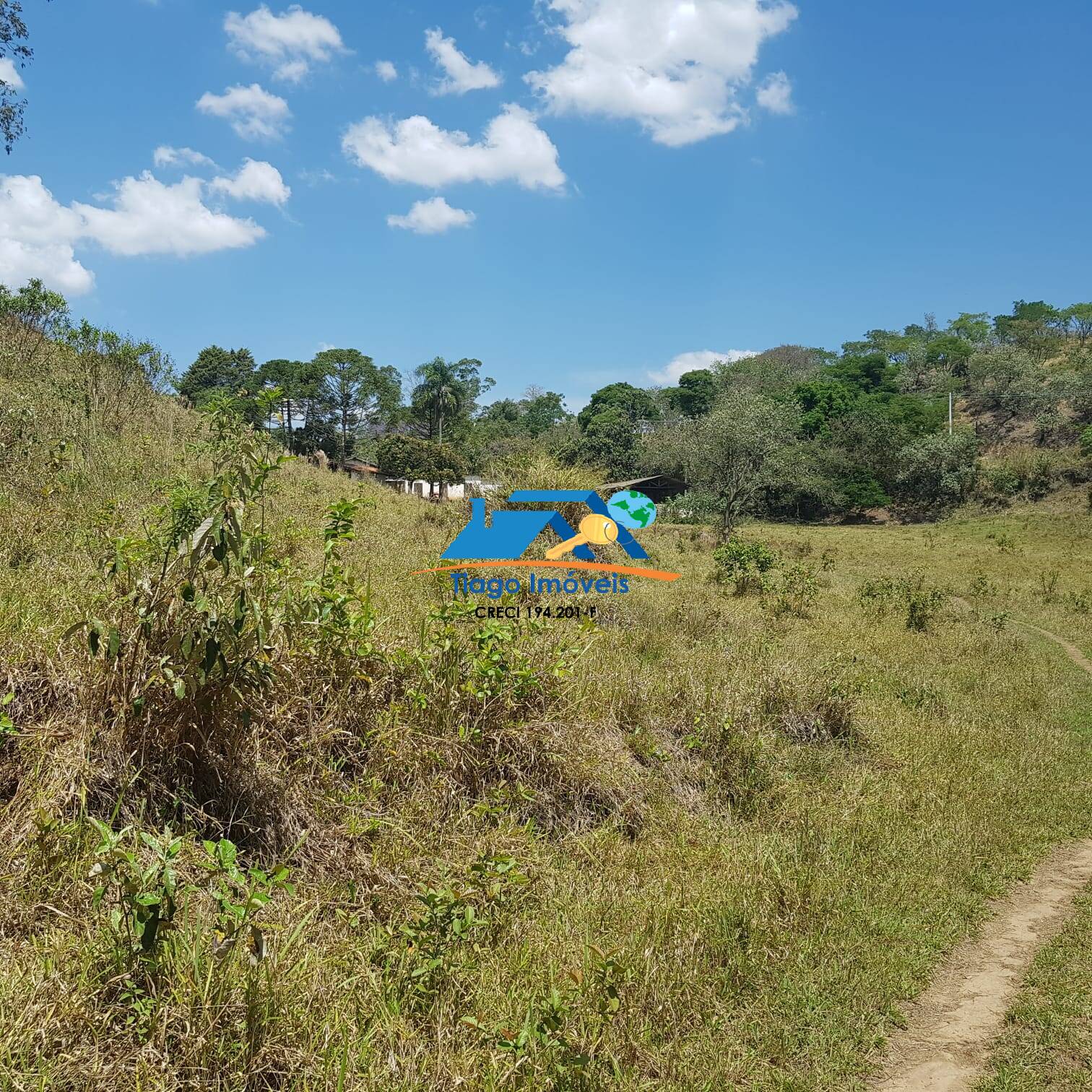 Fazenda à venda com 5 quartos, 76000m² - Foto 11