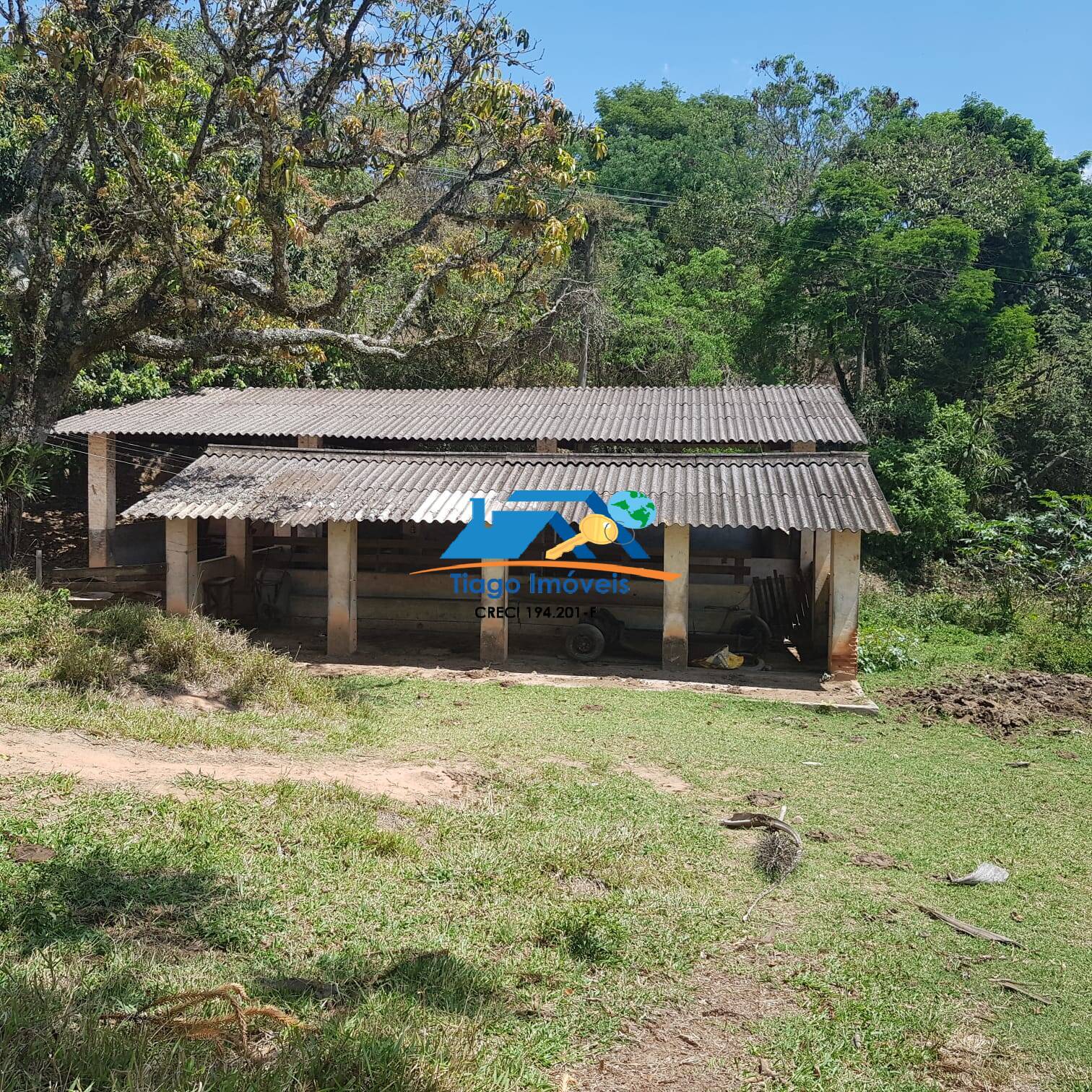 Fazenda à venda com 5 quartos, 76000m² - Foto 12