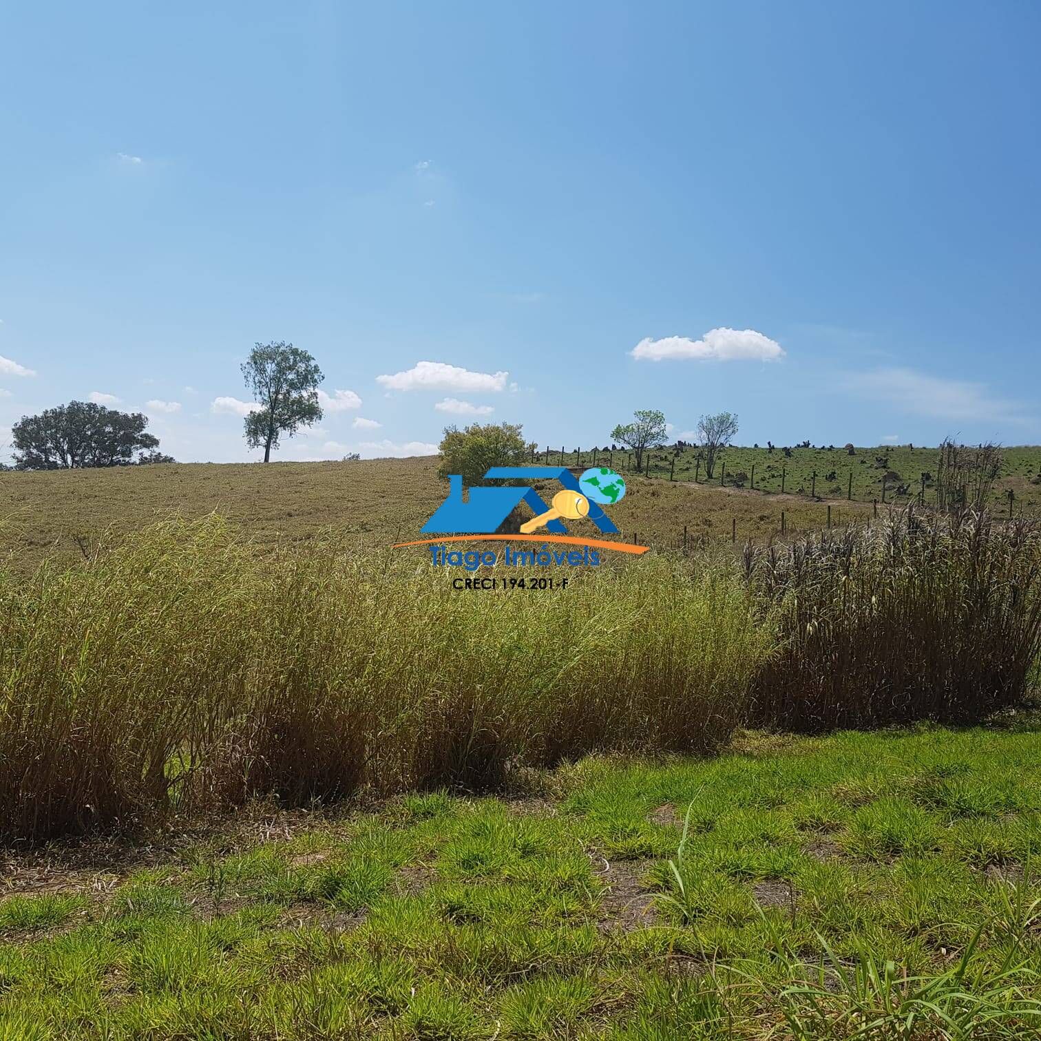 Fazenda à venda com 5 quartos, 76000m² - Foto 13