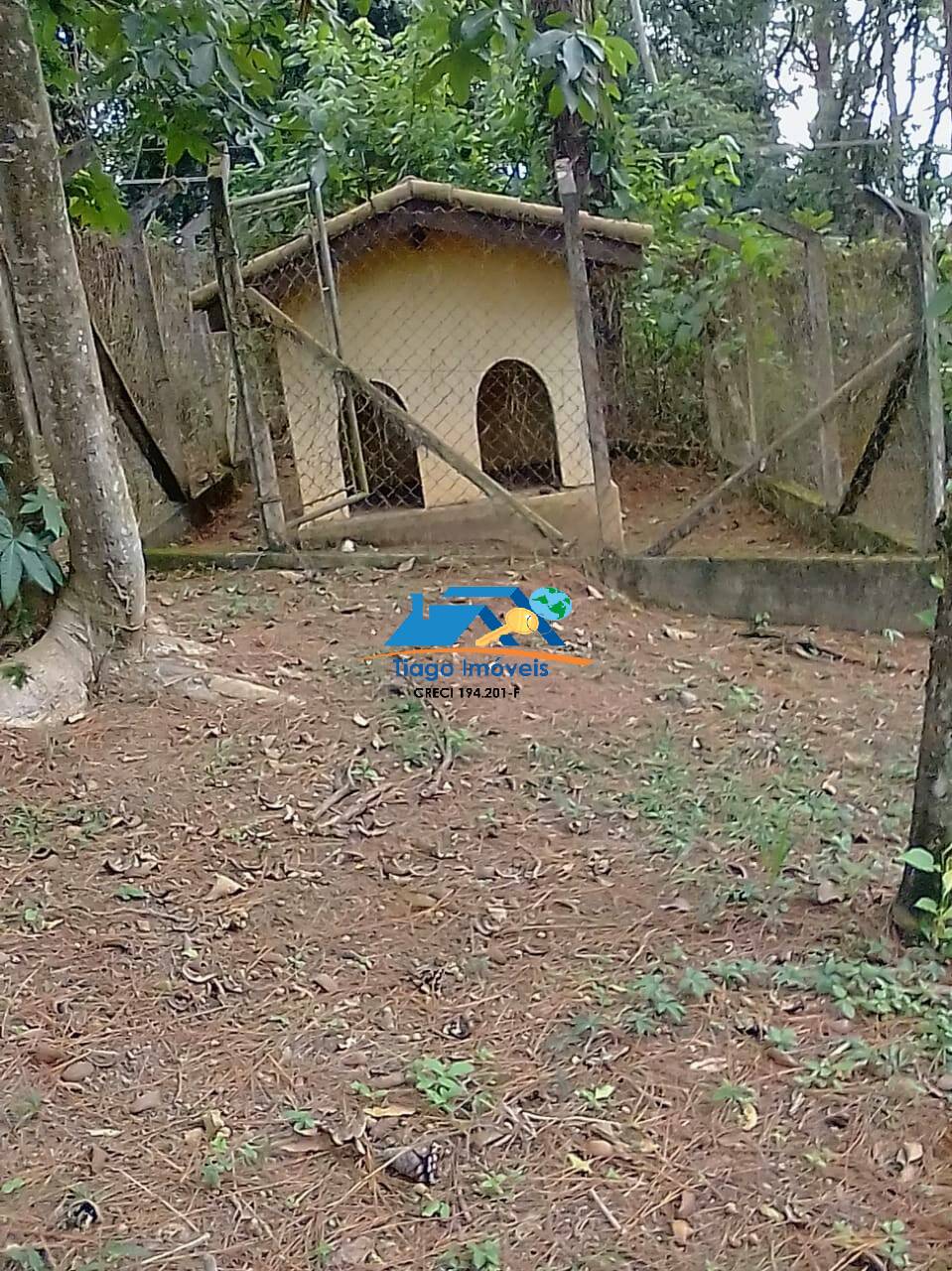 Fazenda à venda com 1 quarto, 2000m² - Foto 9