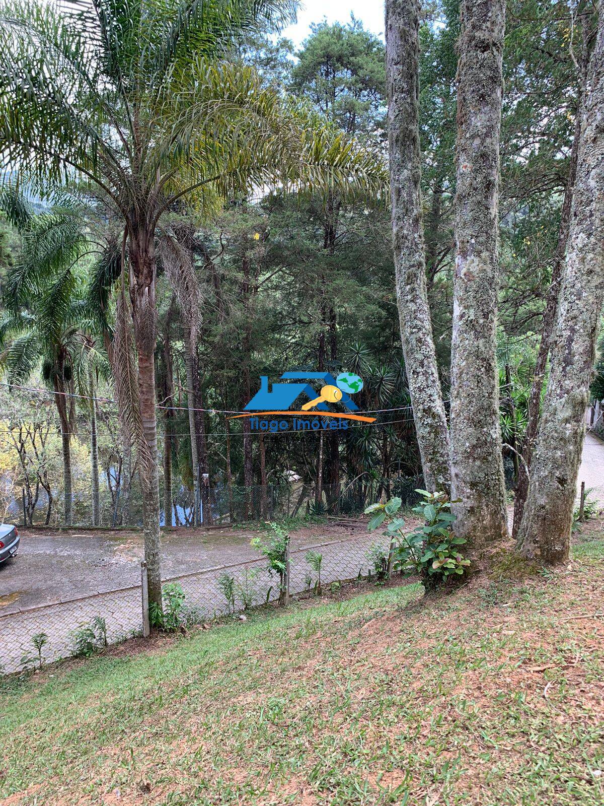 Fazenda à venda com 3 quartos, 5000m² - Foto 11