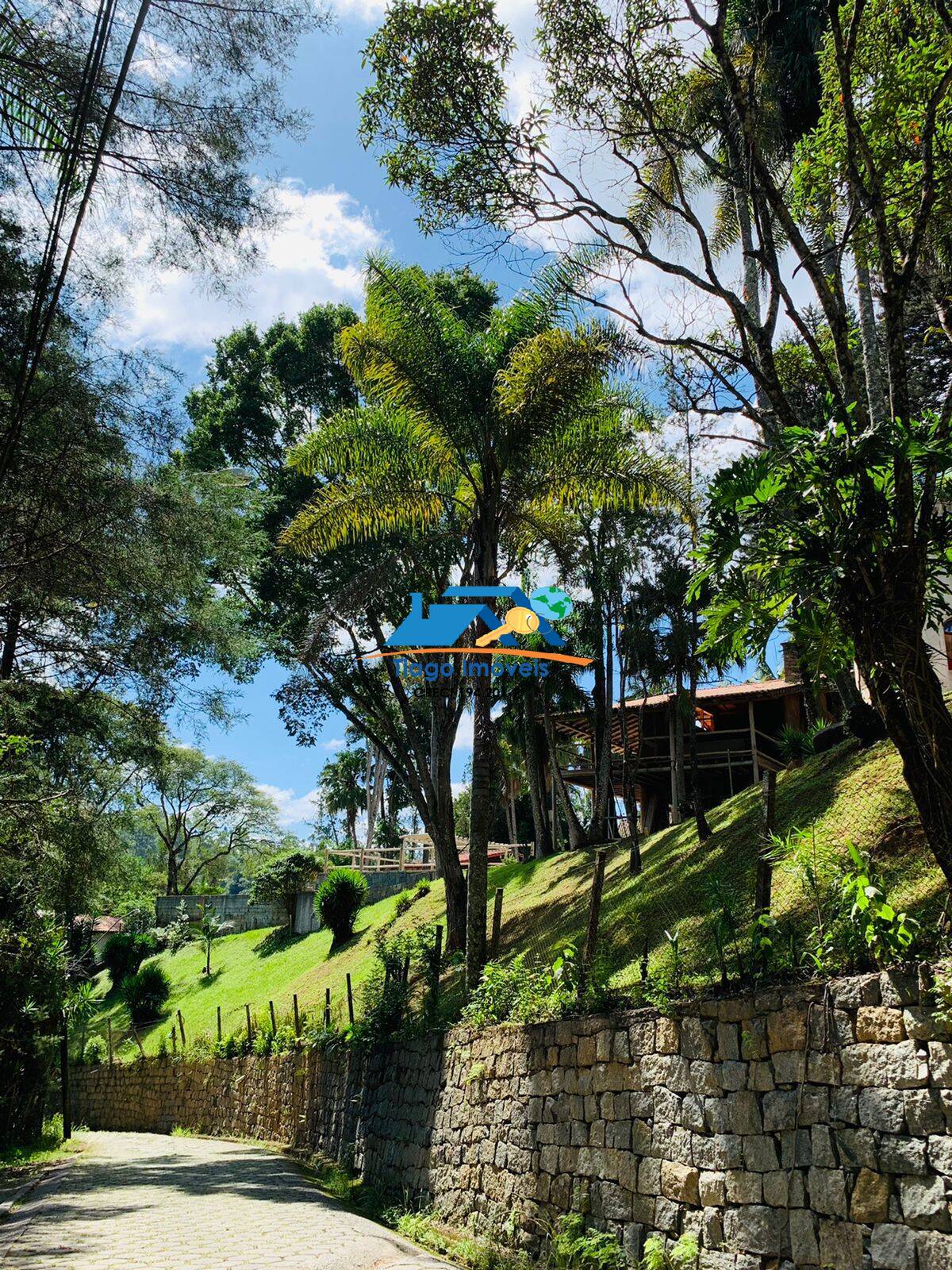 Fazenda à venda com 3 quartos, 5000m² - Foto 14