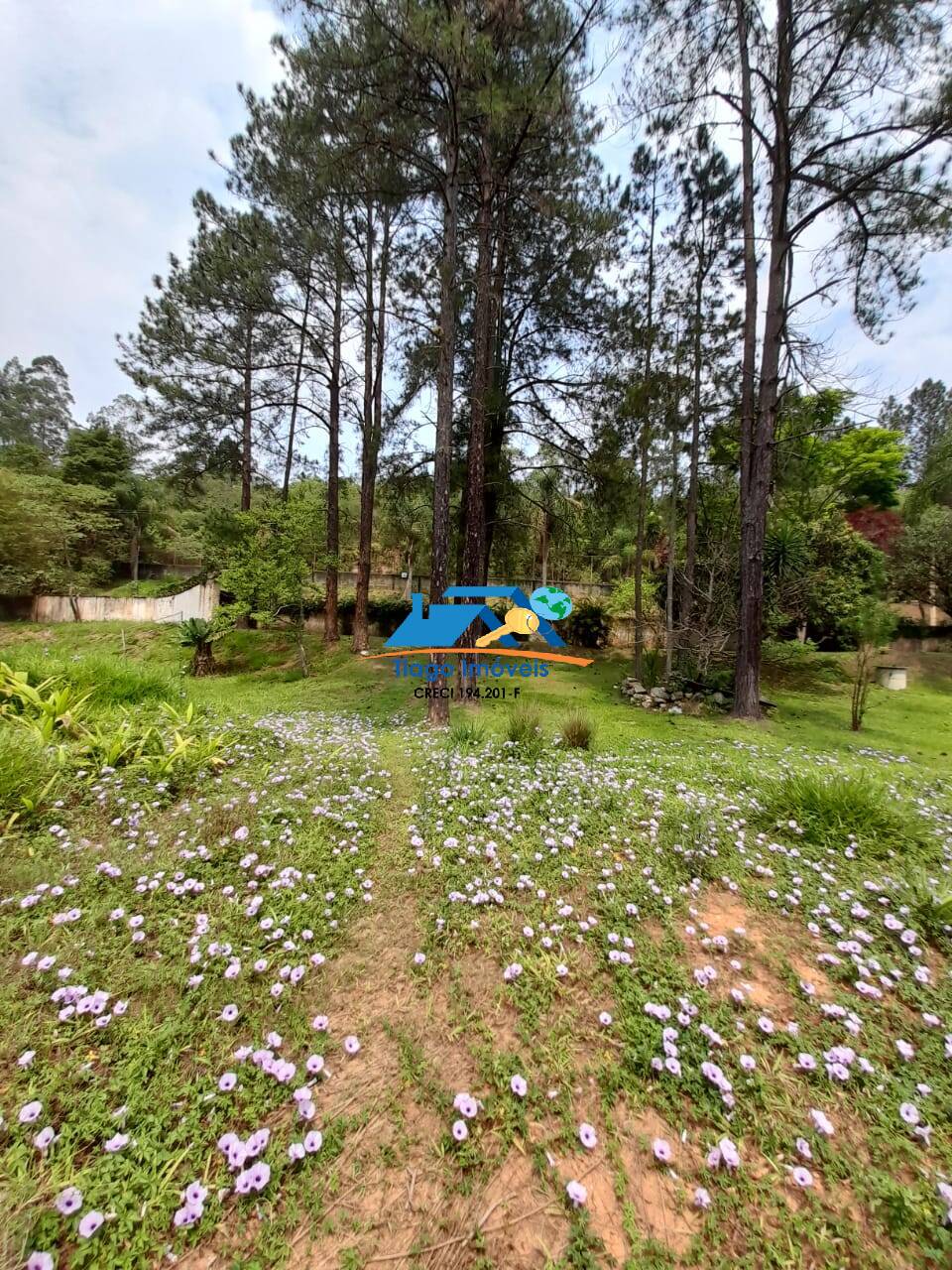 Fazenda à venda com 4 quartos, 500m² - Foto 18