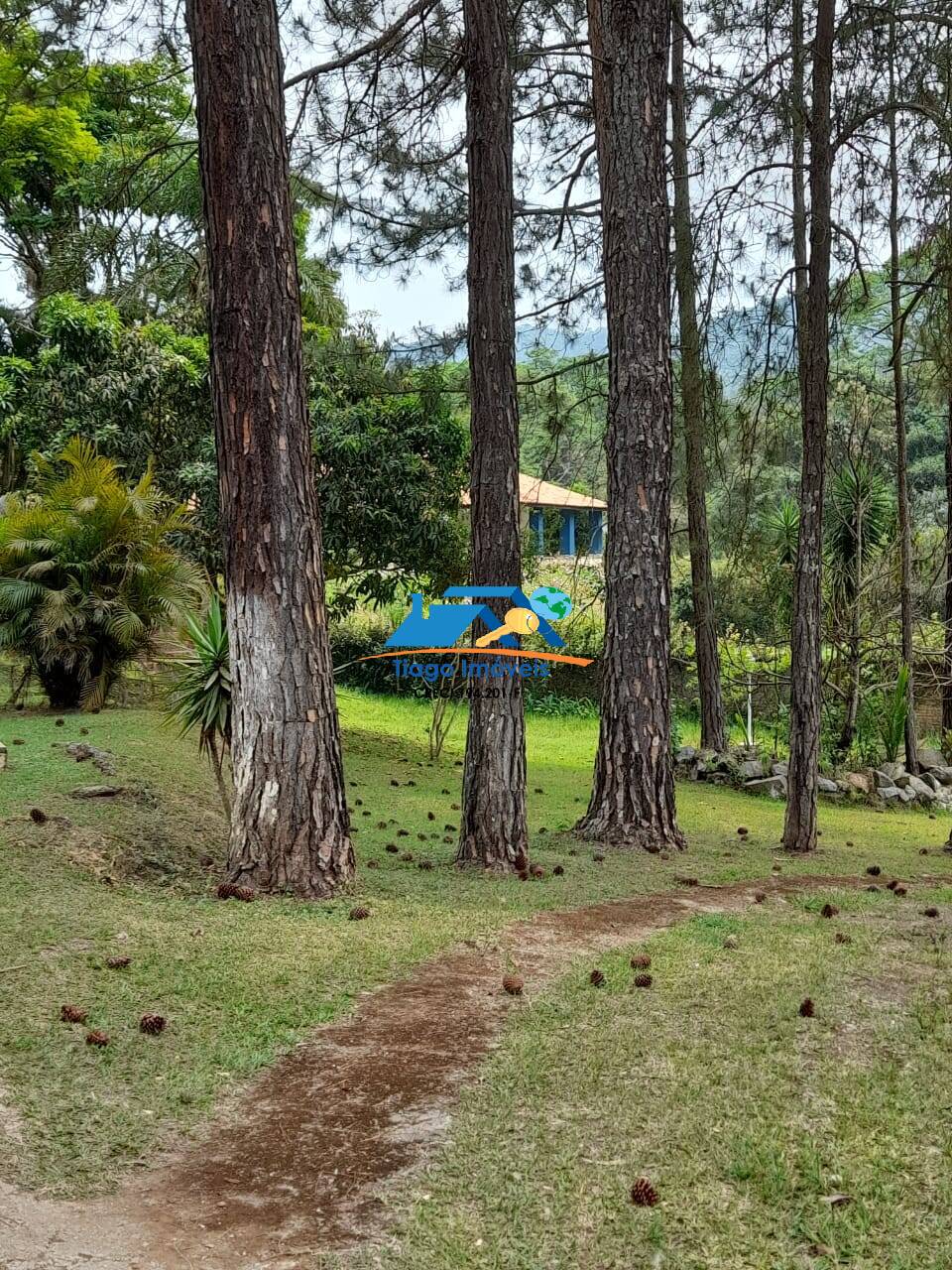 Fazenda à venda com 4 quartos, 500m² - Foto 25