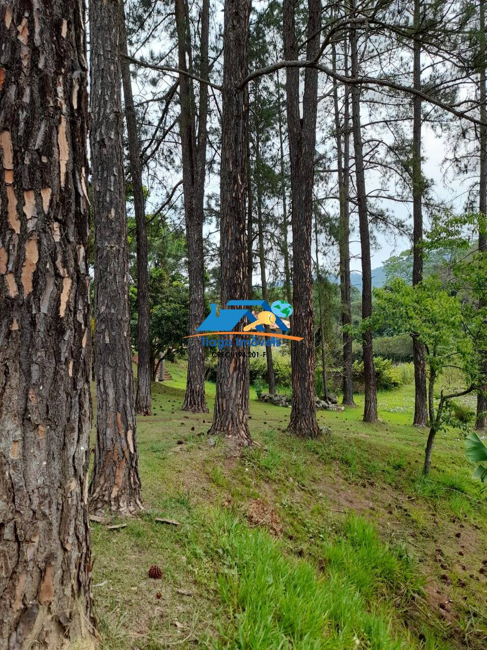 Fazenda à venda com 4 quartos, 500m² - Foto 30