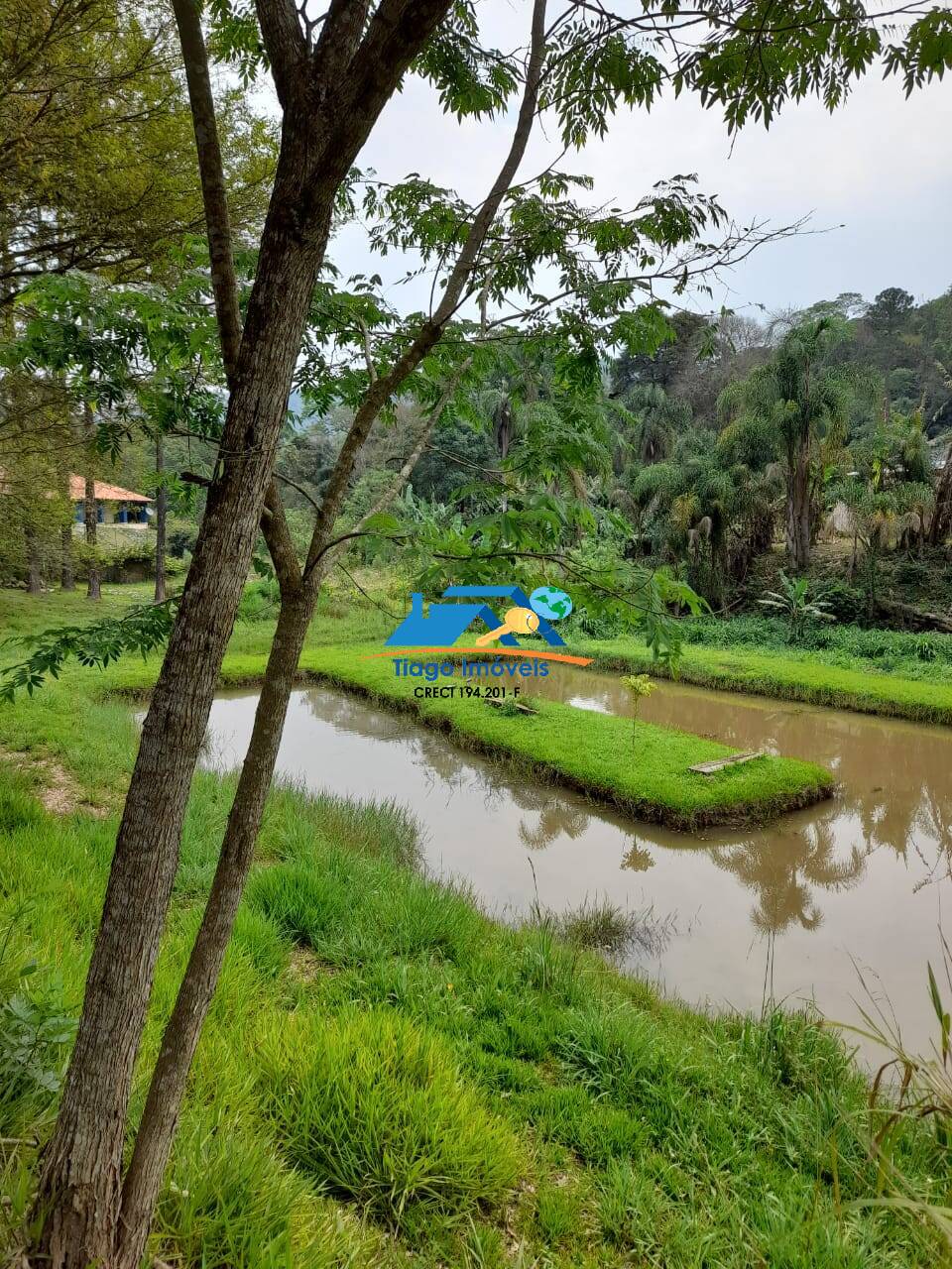 Fazenda à venda com 4 quartos, 500m² - Foto 32