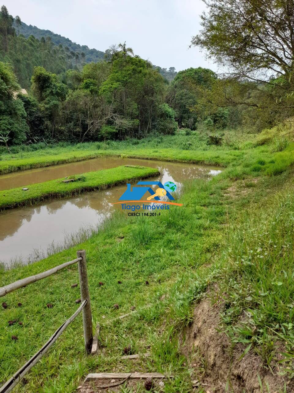 Fazenda à venda com 4 quartos, 500m² - Foto 36