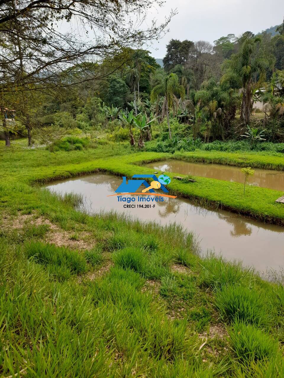 Fazenda à venda com 4 quartos, 500m² - Foto 37