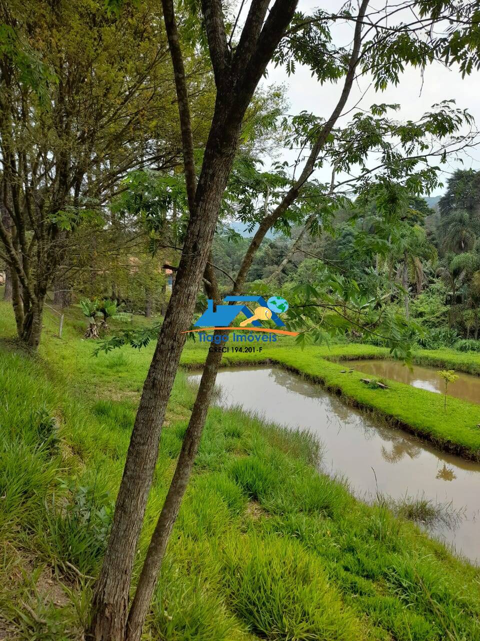 Fazenda à venda com 4 quartos, 500m² - Foto 39