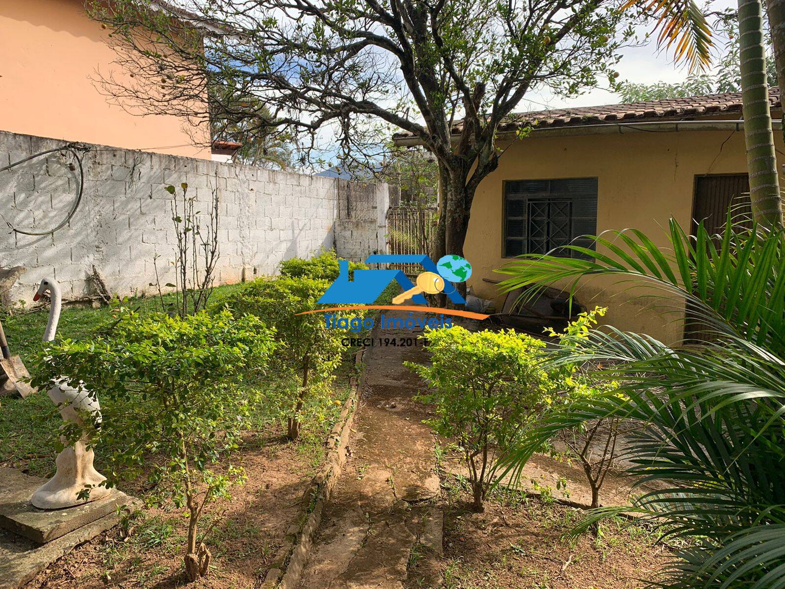 Fazenda à venda com 2 quartos, 1000m² - Foto 7