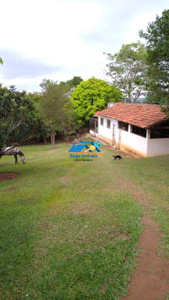 Fazenda à venda com 5 quartos, 20000m² - Foto 4